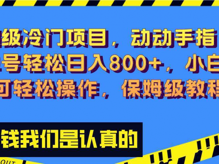 超级冷门项目,动动手指，单号轻松日入800+，小白也可轻松操作，保姆级教程
