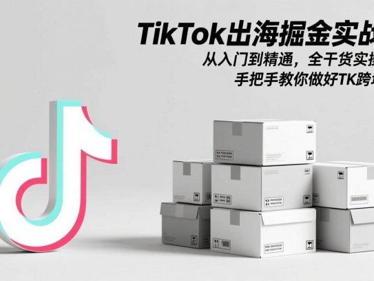 TikTok出海掘金实战课：从入门到精通，全干货实操讲解，手把手教你做好TK跨境电商